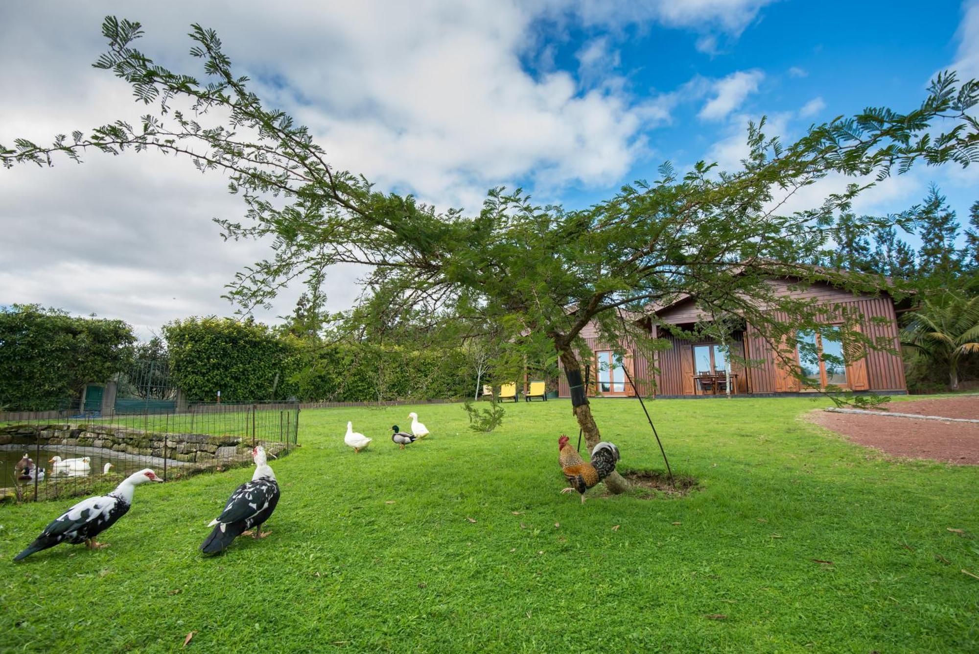 Вилла Quinta Dos Curubas Вила-Франка-ду-Кампу Экстерьер фото