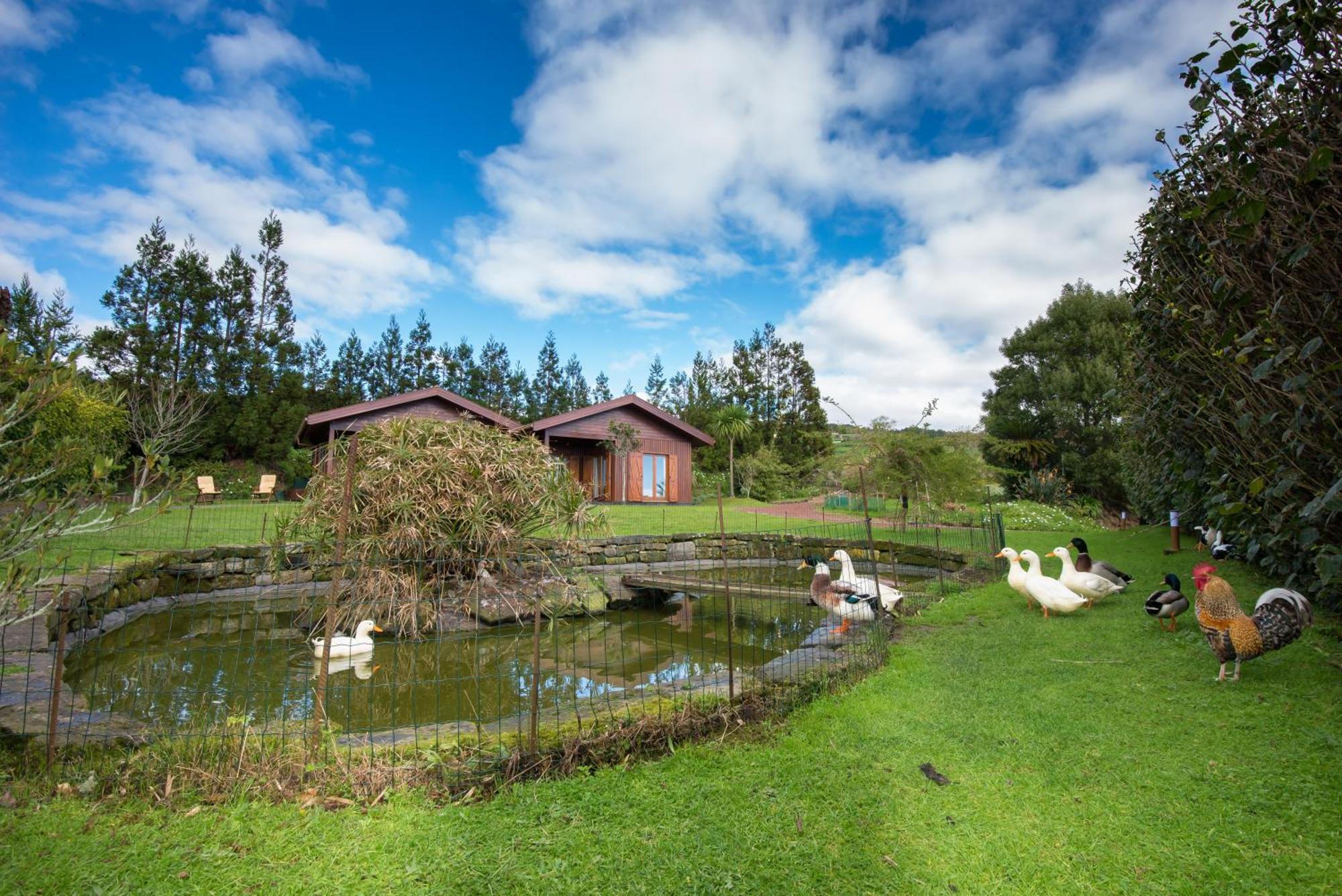 Вилла Quinta Dos Curubas Вила-Франка-ду-Кампу Экстерьер фото